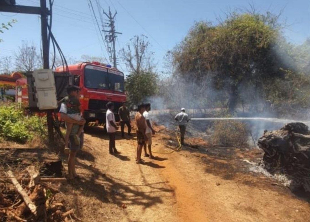 मठ व दाभोली सडा येथे आकस्मिक आग लागून काजू नुकसान