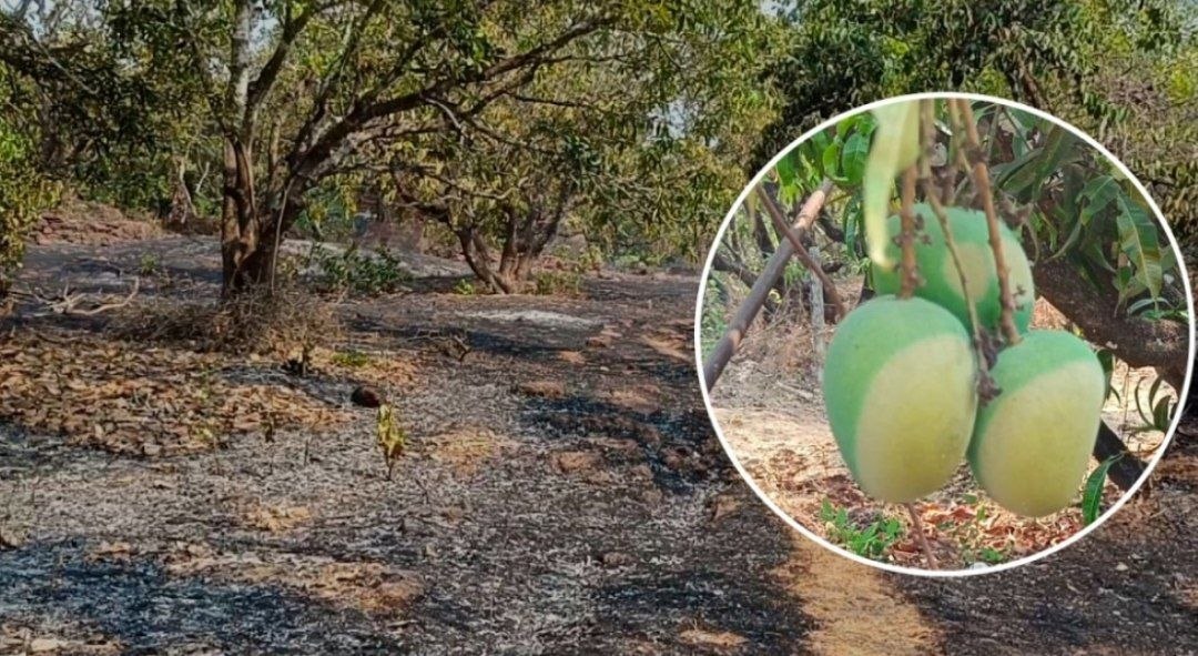 कांदळगाव येथे शॉर्टसर्किटमुळे भीषण आग