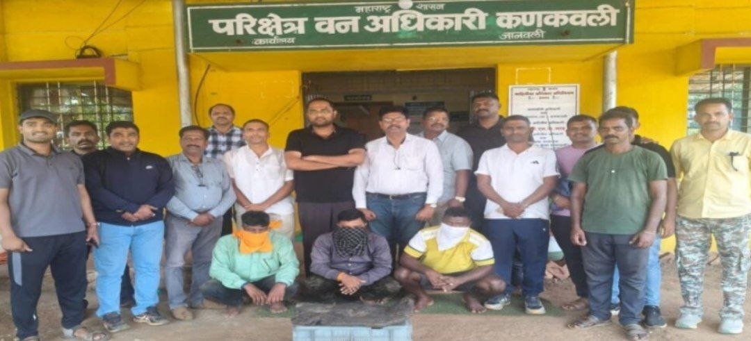 देवगड तालुक्यात ८ कोटींचे अंबरग्रीस जप्त; तिघे आरोपी रंगेहात ताब्यात