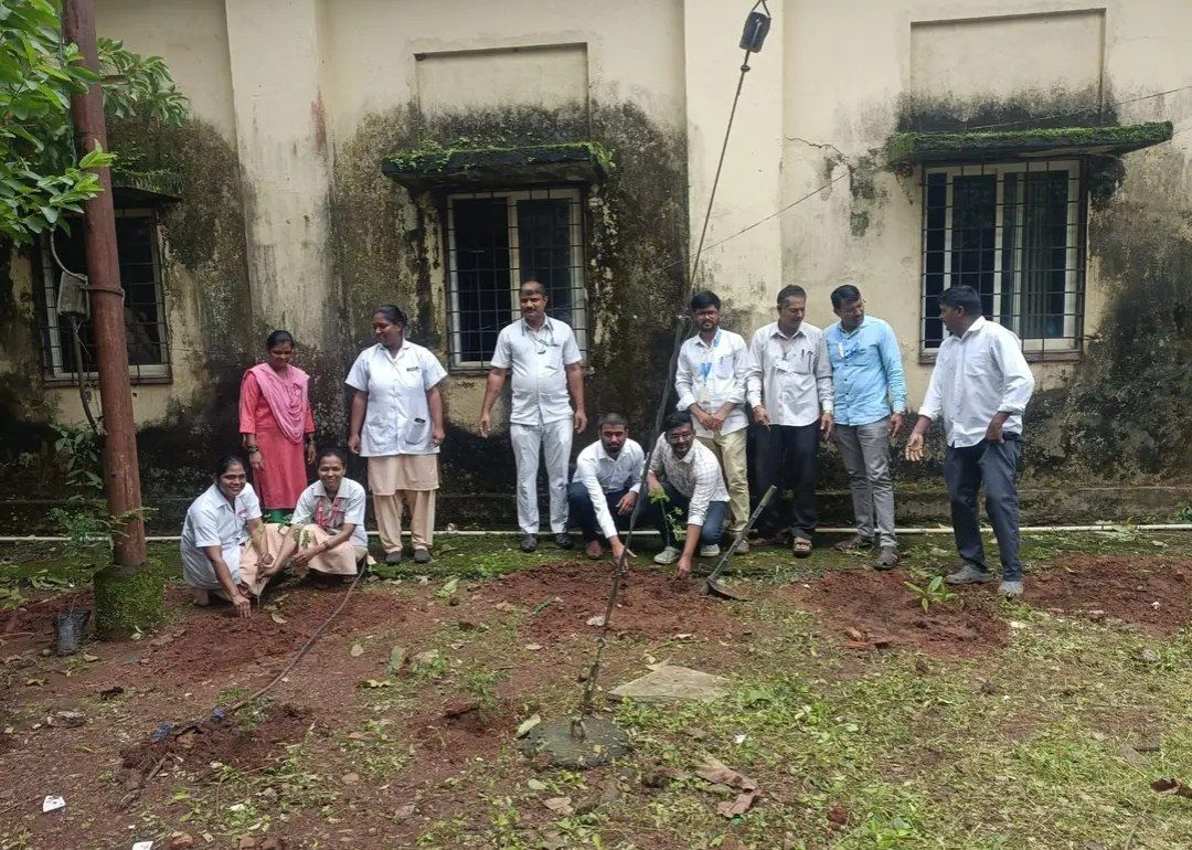 उपजिल्हा रुग्णालय कणकवली येथे औषधी वनस्पतींची लागवड